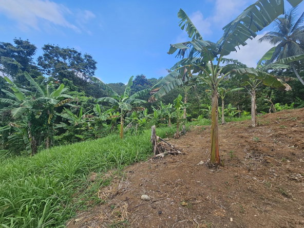 Third image of 59 Wydah, St. Margarets Bay in St. Margaret's Bay, Portland, Jamaica - property is For Sale