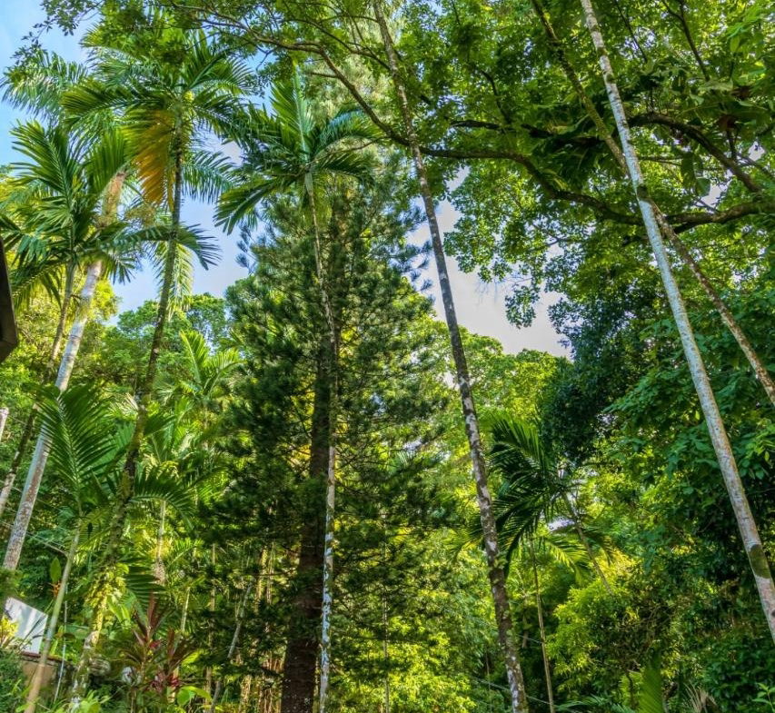 Second image of 105 San San Estate, Portland in SAN SAN, Portland, Jamaica - property is For Sale