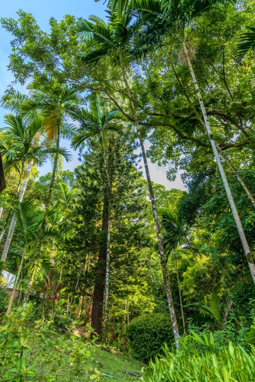 Second image of 105 San San Estate, Portland in SAN SAN, Portland, Jamaica - property is For Sale