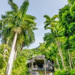 First image of 105 San San Estate, Portland in SAN SAN, Portland, Jamaica - property is For Sale