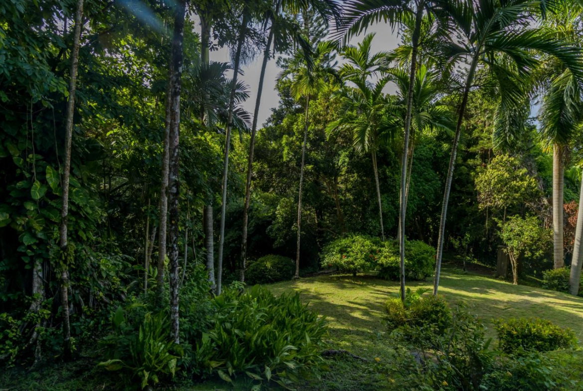 Nineteenth image of 105 San San Estate, Portland in SAN SAN, Portland, Jamaica - property is For Sale