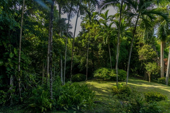 Nineteenth image of 105 San San Estate, Portland in SAN SAN, Portland, Jamaica - property is For Sale