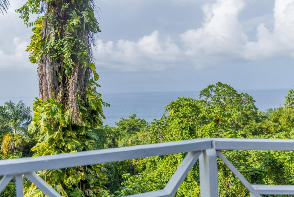 Twentieth image of 105 San San Estate, Portland in SAN SAN, Portland, Jamaica - property is For Sale