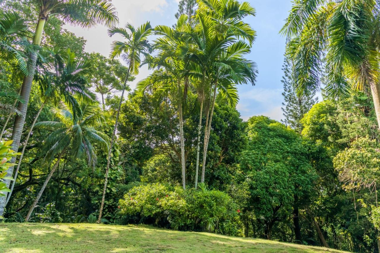 Third image of 105 San San Estate, Portland in SAN SAN, Portland, Jamaica - property is For Sale