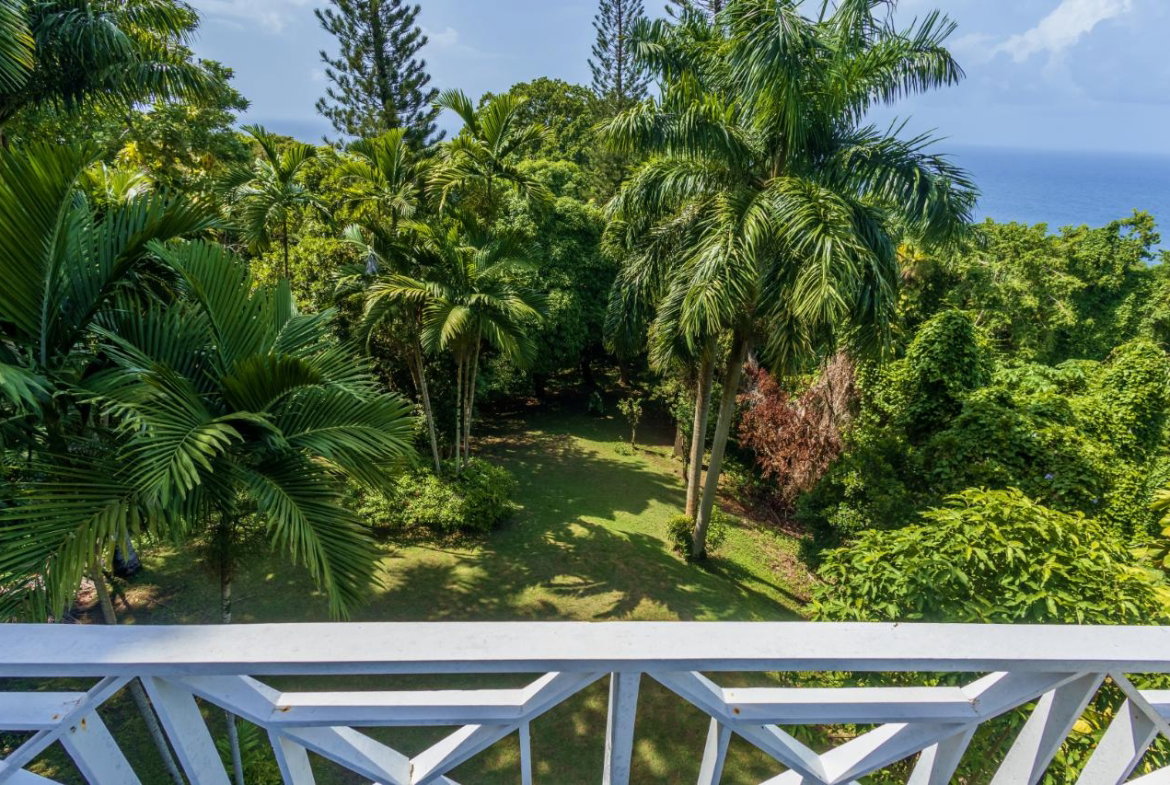 Twenty-Eighth image of 105 San San Estate, Portland in SAN SAN, Portland, Jamaica - property is For Sale