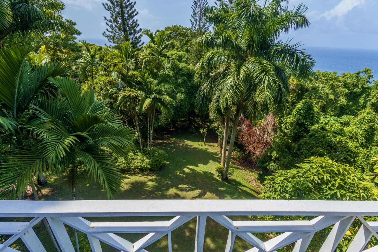 Twenty-Eighth image of 105 San San Estate, Portland in SAN SAN, Portland, Jamaica - property is For Sale