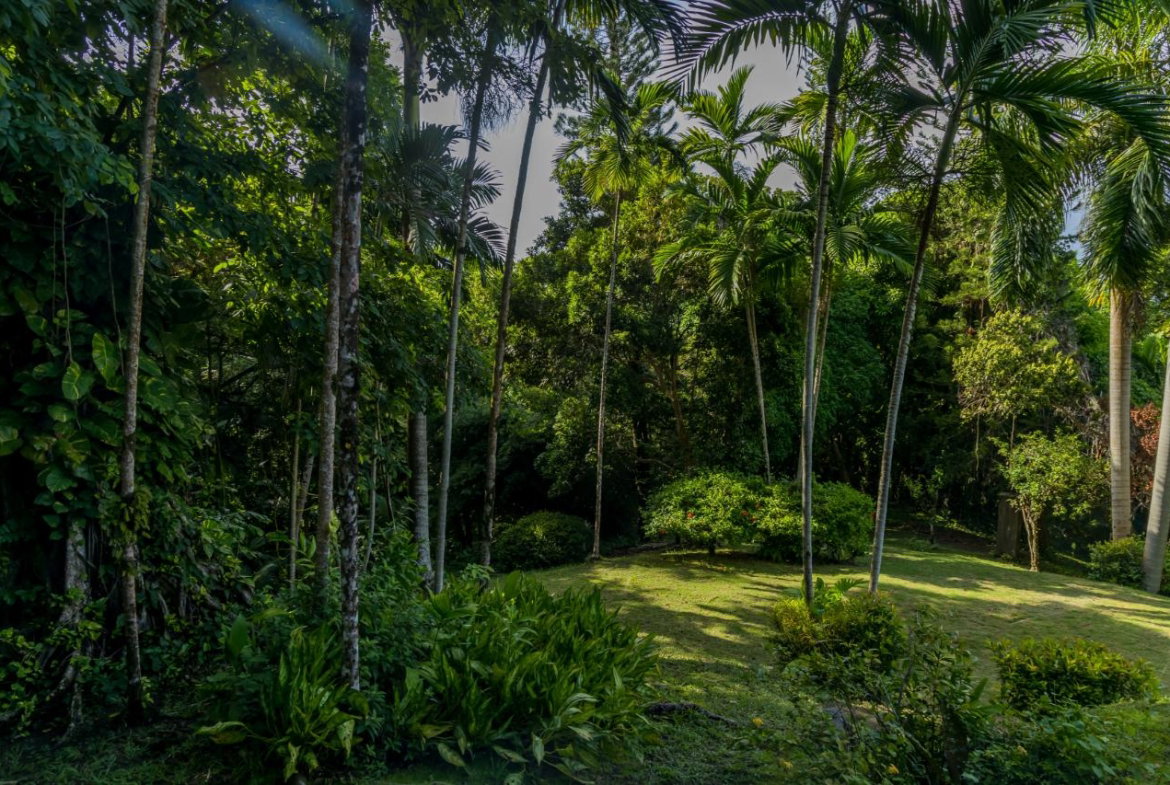 Twenty-Ninth image of 105 San San Estate, Portland in SAN SAN, Portland, Jamaica - property is For Sale