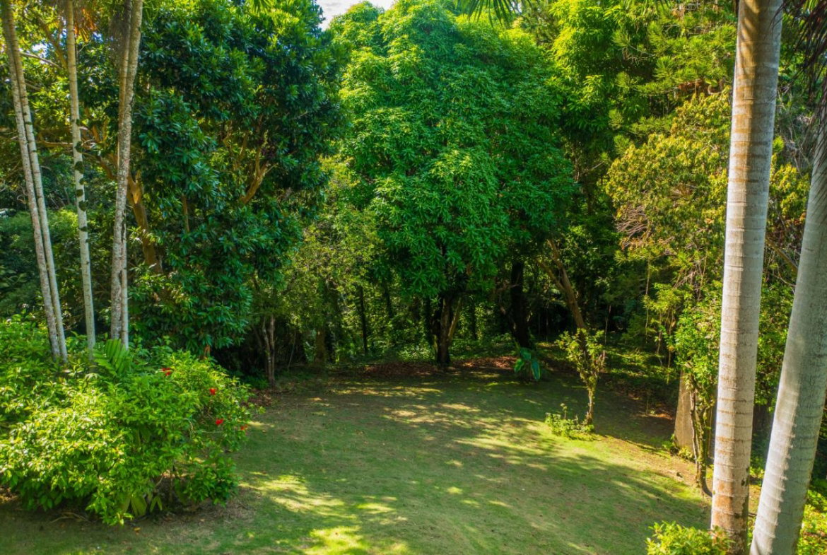 Thirtieth image of 105 San San Estate, Portland in SAN SAN, Portland, Jamaica - property is For Sale