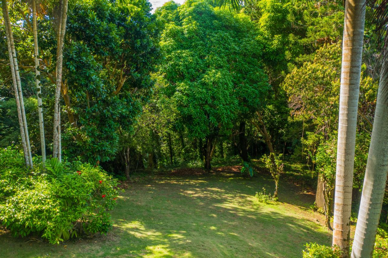 Thirtieth image of 105 San San Estate, Portland in SAN SAN, Portland, Jamaica - property is For Sale