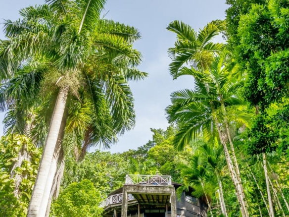 First image of 105 San San Estate, Portland in SAN SAN, Portland, Jamaica - property is For Sale