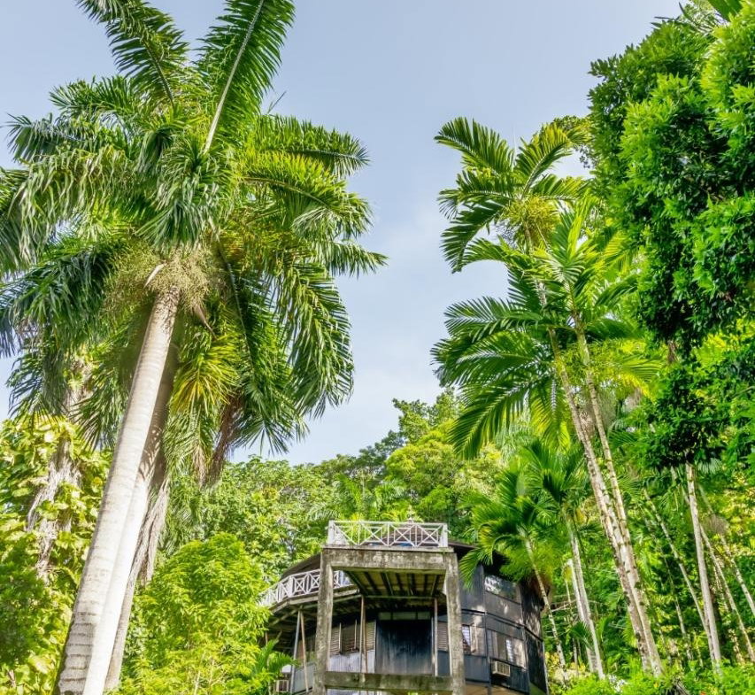 First image of 105 San San Estate, Portland in SAN SAN, Portland, Jamaica - property is For Sale