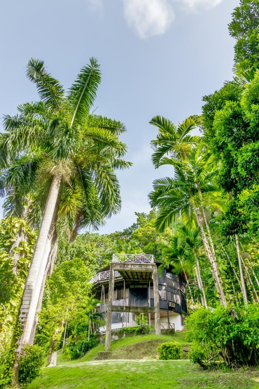 First image of 105 San San Estate, Portland in SAN SAN, Portland, Jamaica - property is For Sale