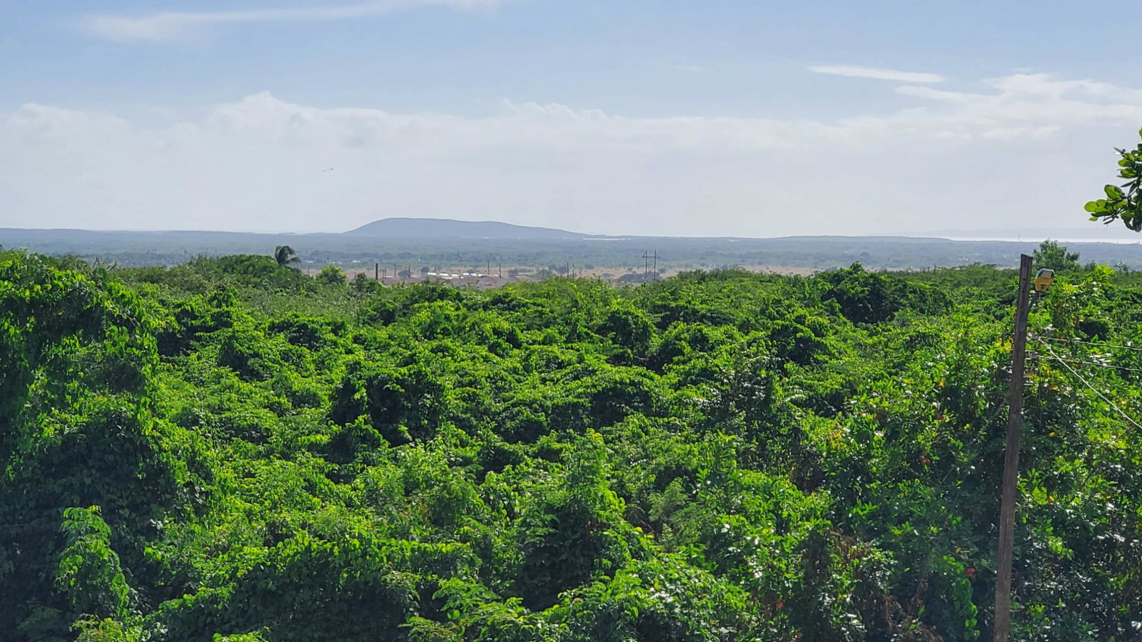Twenty-Seventh image of 23 Kristy Drive in Spanish Town, St. Catherine, Jamaica - property is For Sale