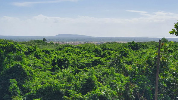 Twenty-Seventh image of 23 Kristy Drive in Spanish Town, St. Catherine, Jamaica - property is For Sale