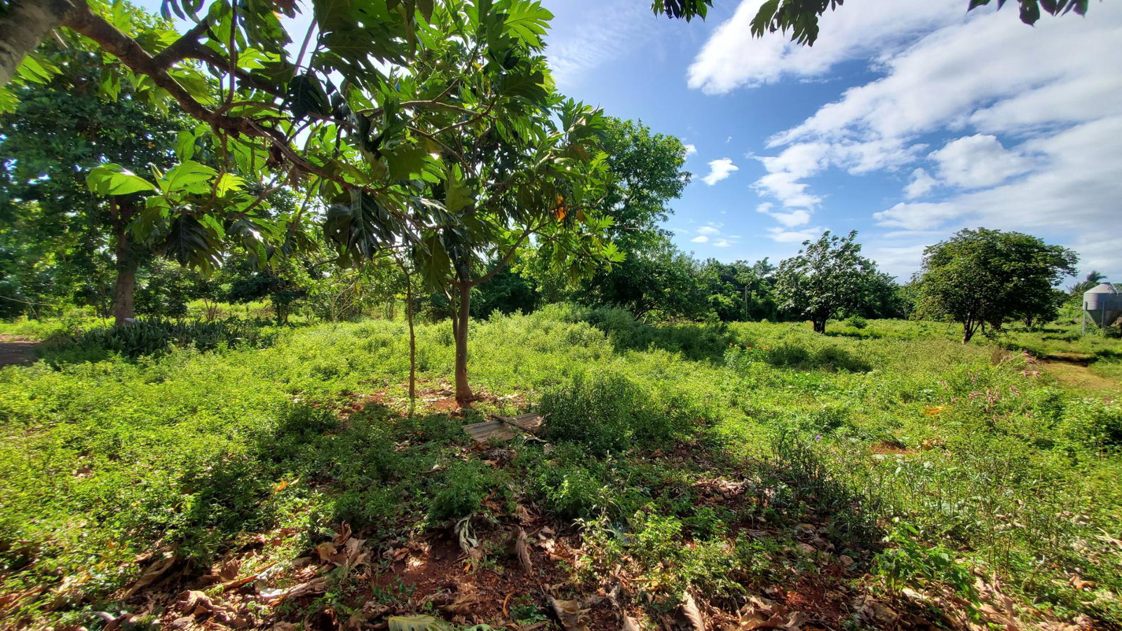 Twenty-Ninth image of 23 Kristy Drive in Spanish Town, St. Catherine, Jamaica - property is For Sale