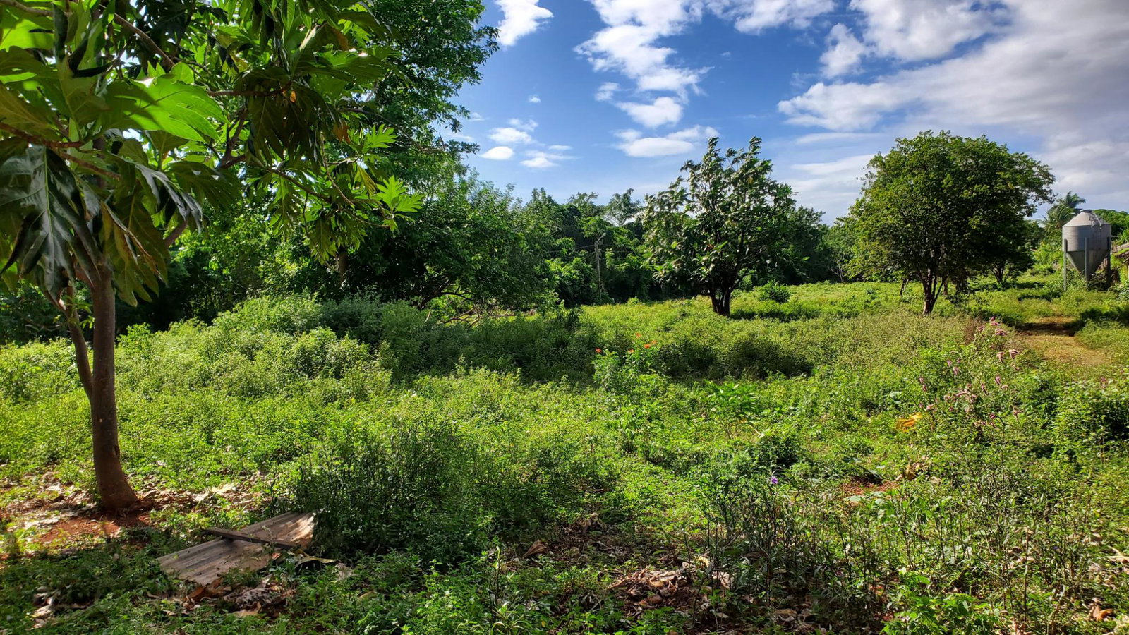 Thirtieth image of 23 Kristy Drive in Spanish Town, St. Catherine, Jamaica - property is For Sale