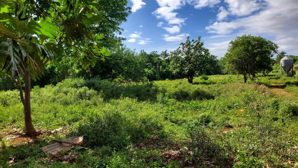 Thirtieth image of 23 Kristy Drive in Spanish Town, St. Catherine, Jamaica - property is For Sale