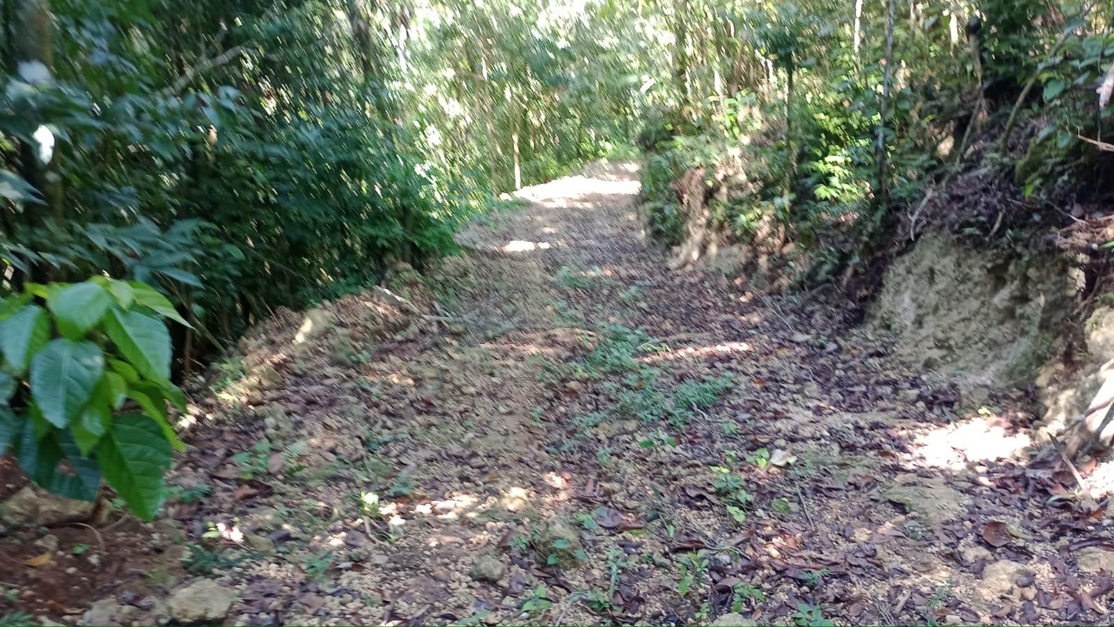 Eleventh image of Pimento Mount in Sligoville, St. Catherine, Jamaica - property is For Sale