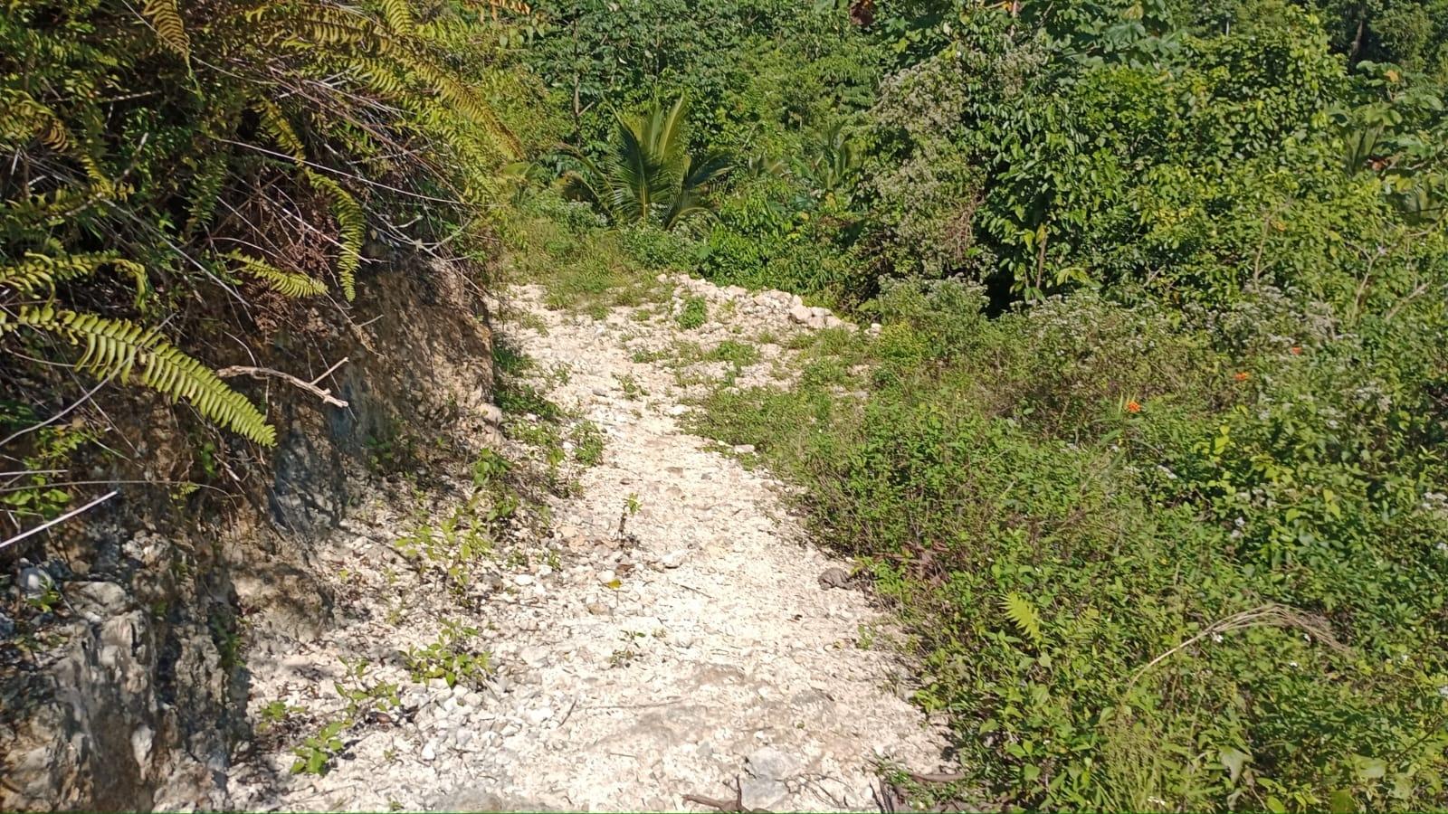 Twelfth image of Pimento Mount in Sligoville, St. Catherine, Jamaica - property is For Sale