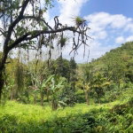 First image of Pimento Mount in Sligoville, St. Catherine, Jamaica - property is For Sale