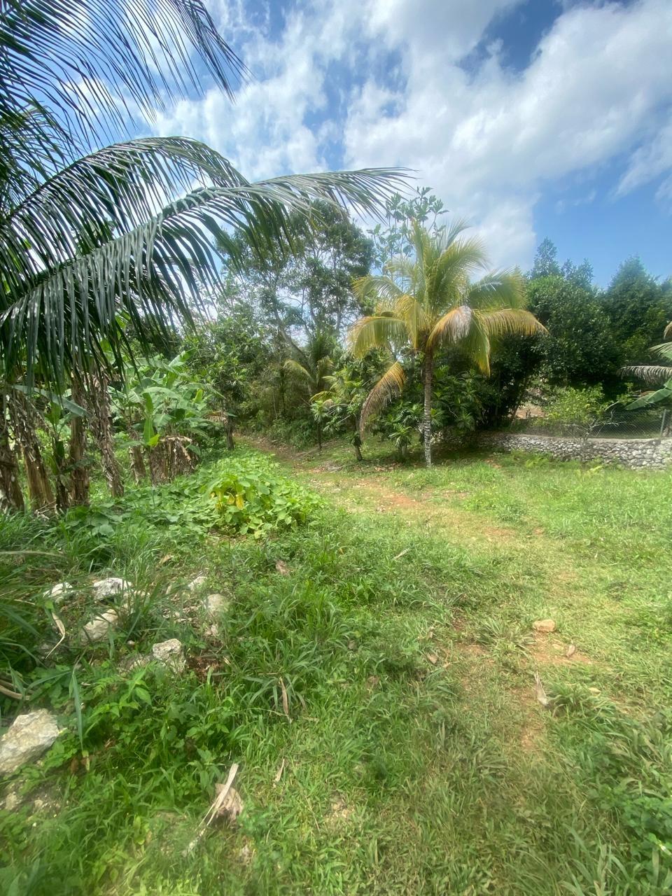 Third image of Pimento Mount in Sligoville, St. Catherine, Jamaica - property is For Sale