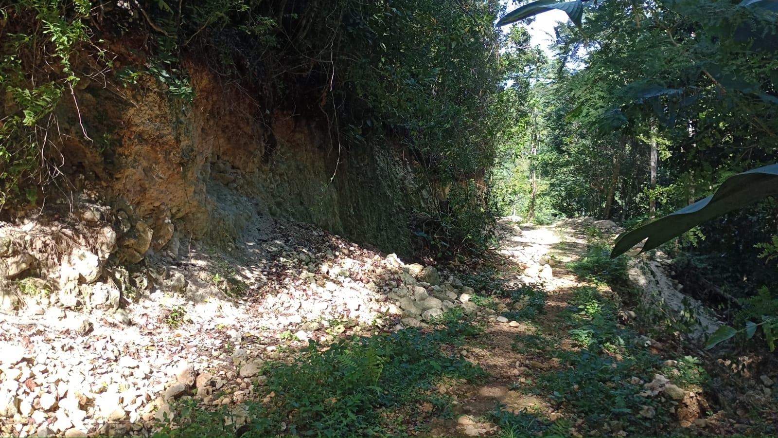 Eighth image of Pimento Mount in Sligoville, St. Catherine, Jamaica - property is For Sale
