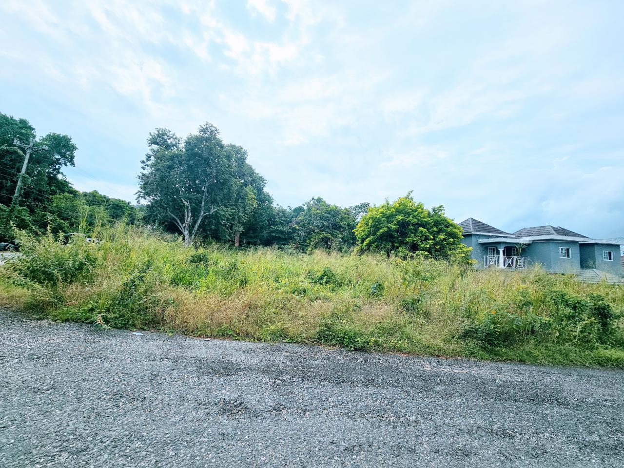 Exceptional-14-Acre-Residential-Lot-for-Sale-in-Coral-Garden-Jamaica Second image of 213 Coral Garden Avenue in Montego Bay, St. James, Jamaica - property is For Sale