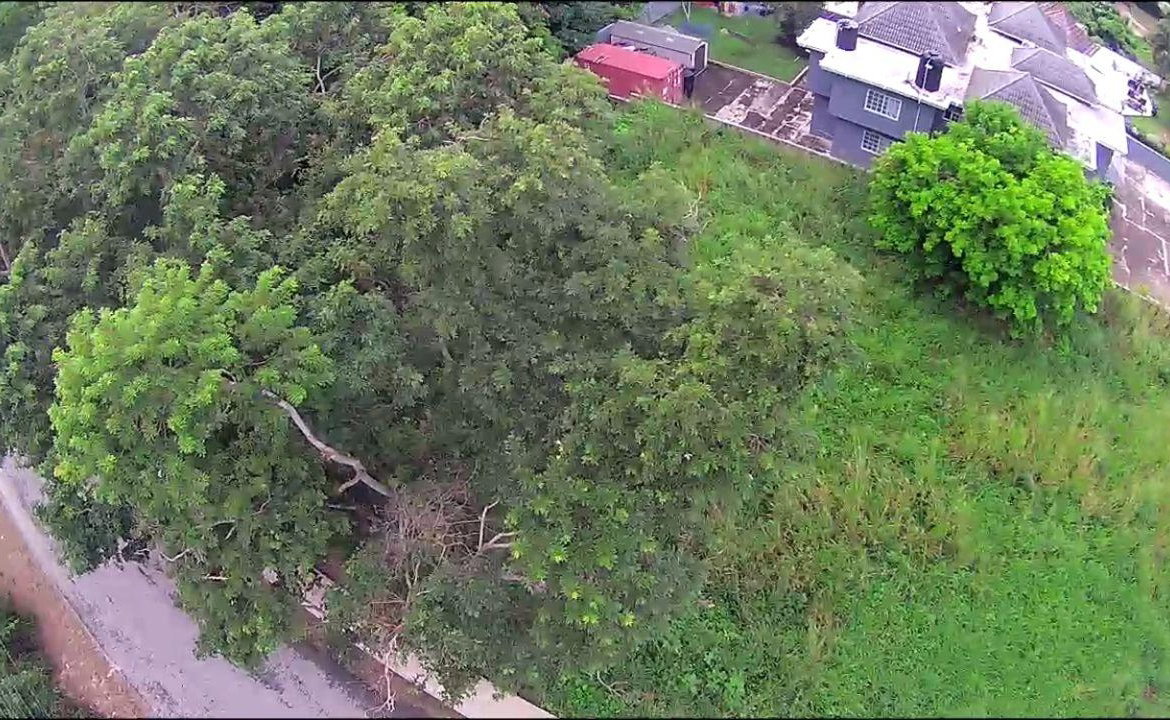 Thirteenth image of 213 Coral Garden Avenue in Montego Bay, St. James, Jamaica - property is For Sale