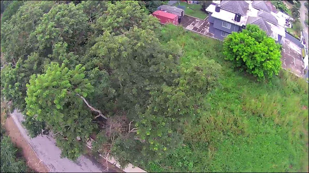 Exceptional-14-Acre-Residential-Lot-for-Sale-in-Coral-Garden-Jamaica Thirteenth image of 213 Coral Garden Avenue in Montego Bay, St. James, Jamaica - property is For Sale
