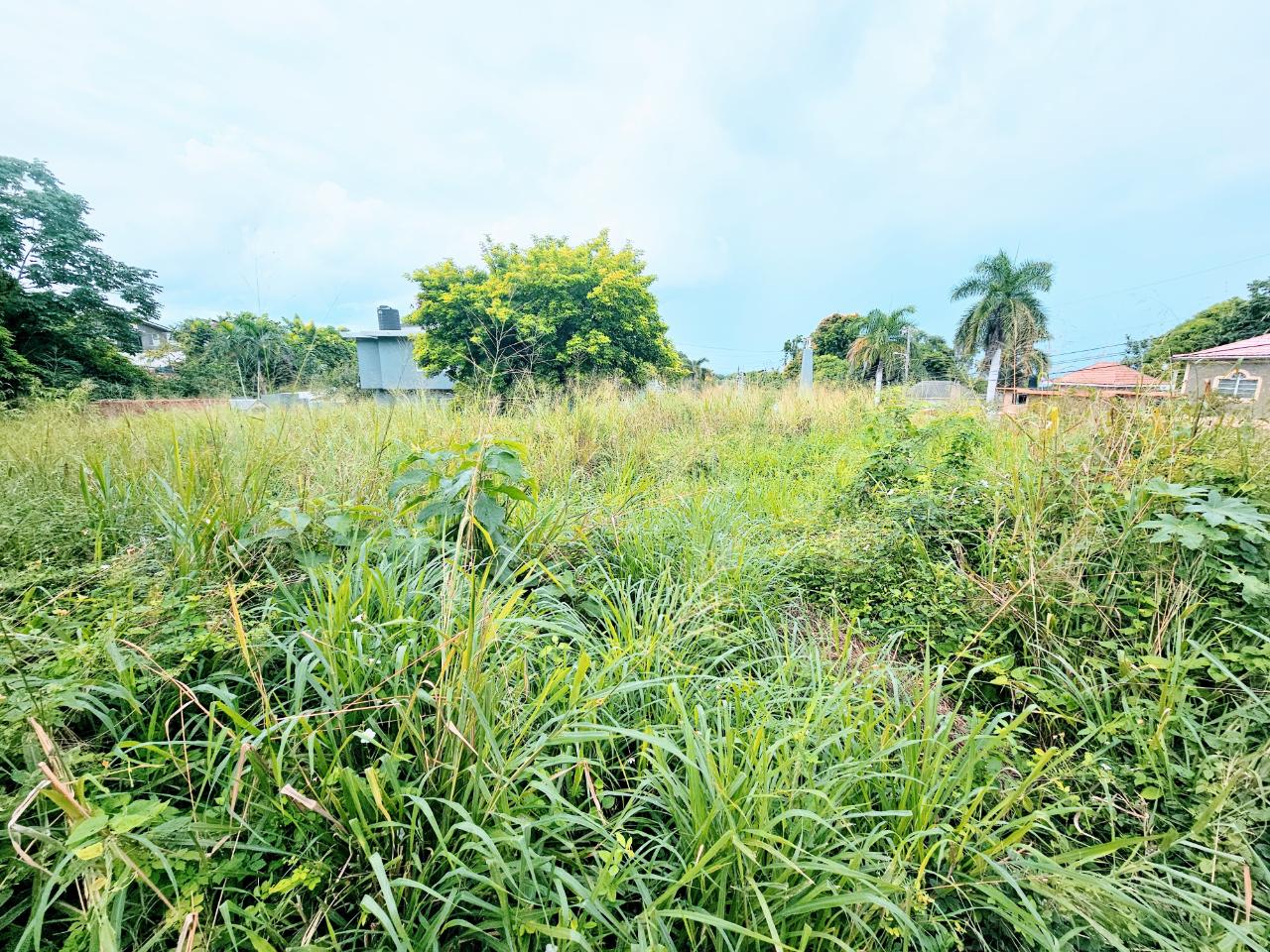 Exceptional-14-Acre-Residential-Lot-for-Sale-in-Coral-Garden-Jamaica Fifth image of 213 Coral Garden Avenue in Montego Bay, St. James, Jamaica - property is For Sale