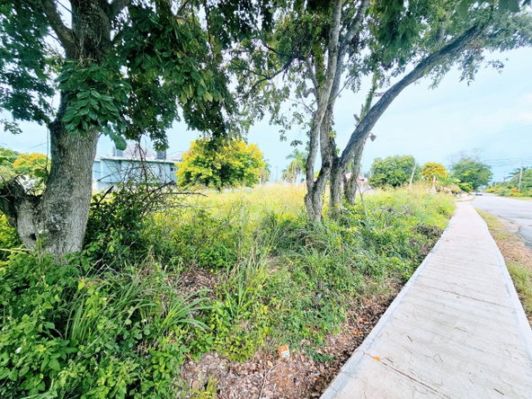 Seventh image of 213 Coral Garden Avenue in Montego Bay, St. James, Jamaica - property is For Sale