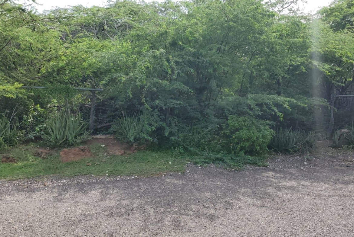 Second image of Part of Great Bay, Treasu in Great Bay, St. Elizabeth, Jamaica - property is For Sale