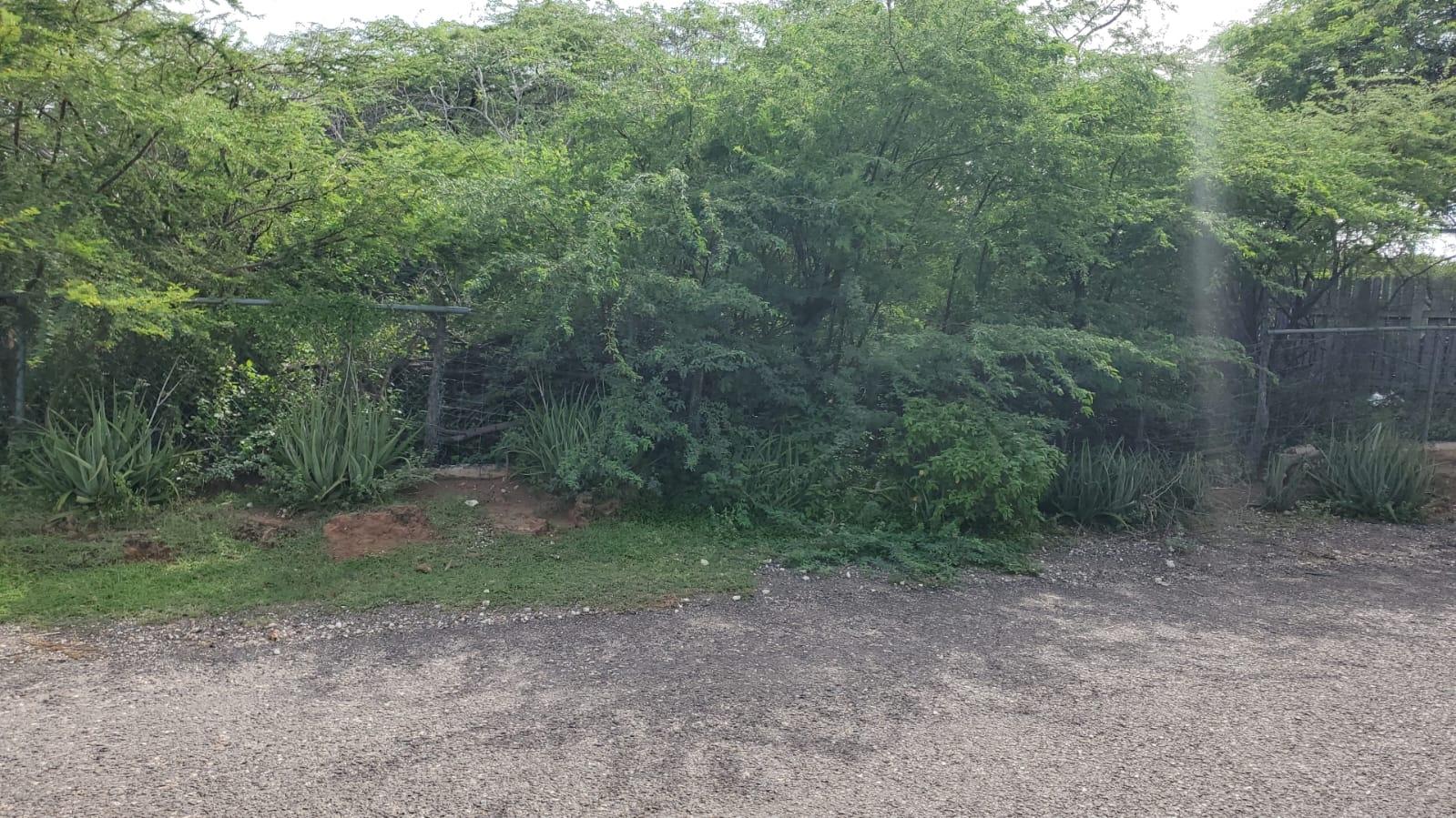 Second image of Part of Great Bay, Treasu in Great Bay, St. Elizabeth, Jamaica - property is For Sale