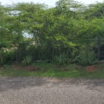 First image of Part of Great Bay, Treasu in Great Bay, St. Elizabeth, Jamaica - property is For Sale