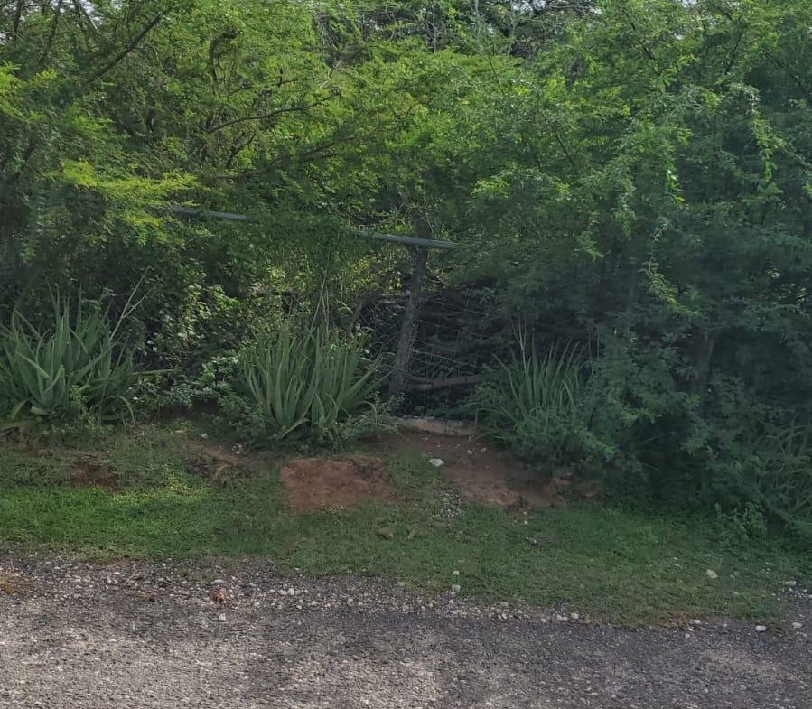 Third image of Part of Great Bay, Treasu in Great Bay, St. Elizabeth, Jamaica - property is For Sale