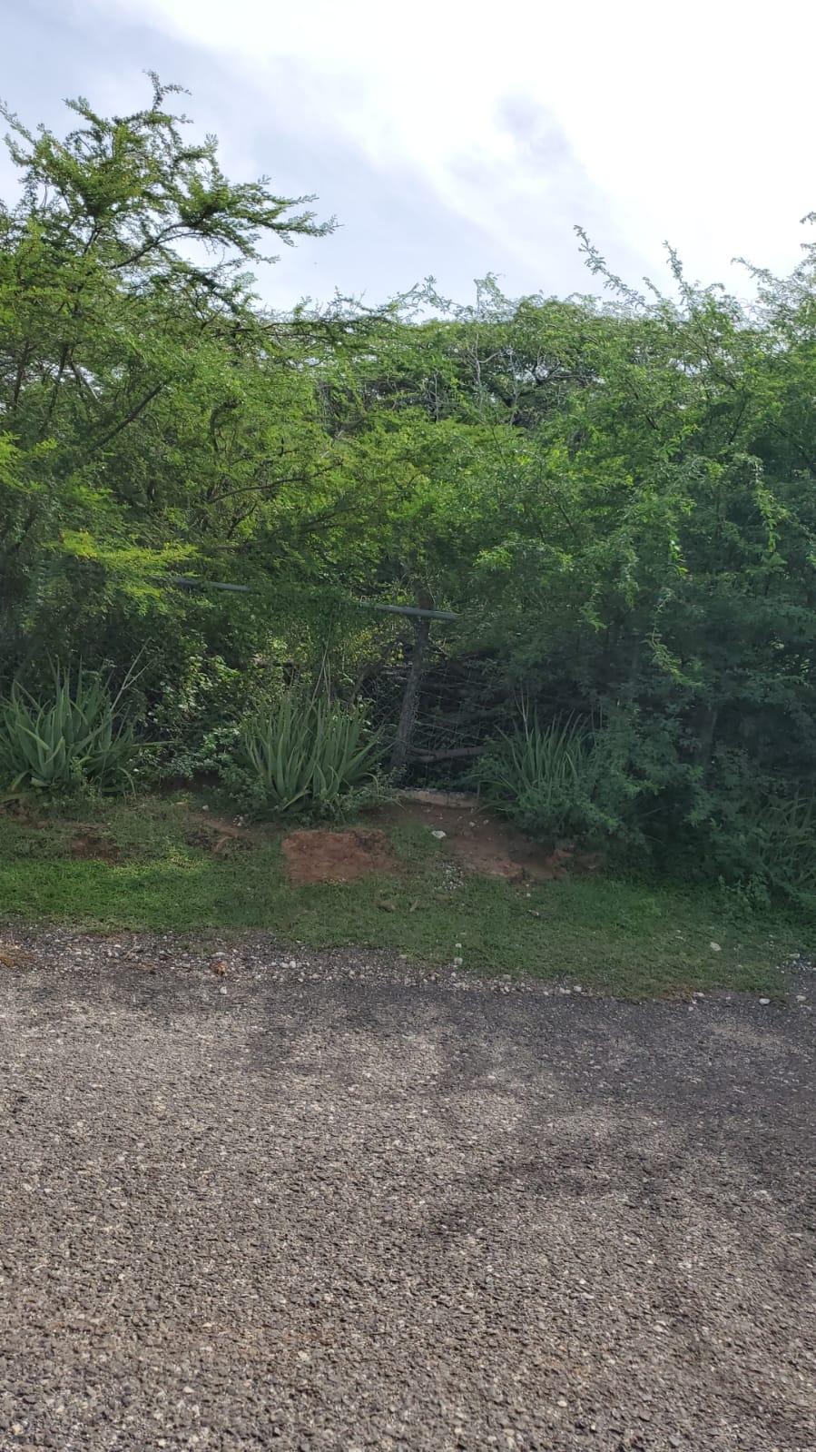 Third image of Part of Great Bay, Treasu in Great Bay, St. Elizabeth, Jamaica - property is For Sale