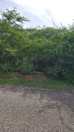 Third image of Part of Great Bay, Treasu in Great Bay, St. Elizabeth, Jamaica - property is For Sale