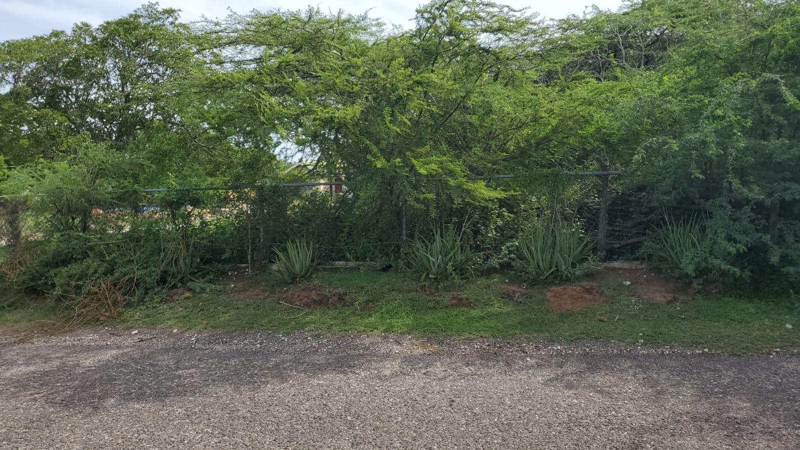 First image of Part of Great Bay, Treasu in Great Bay, St. Elizabeth, Jamaica - property is For Sale