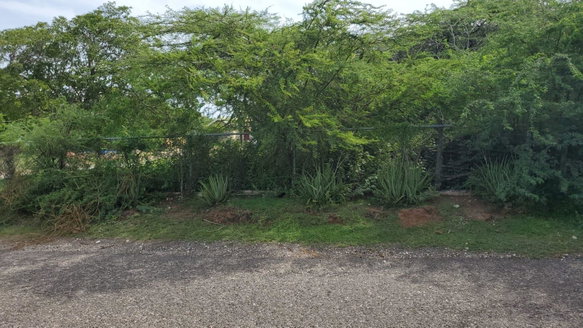 First image of Part of Great Bay, Treasu in Great Bay, St. Elizabeth, Jamaica - property is For Sale