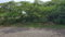 First image of Part of Great Bay, Treasu in Great Bay, St. Elizabeth, Jamaica - property is For Sale