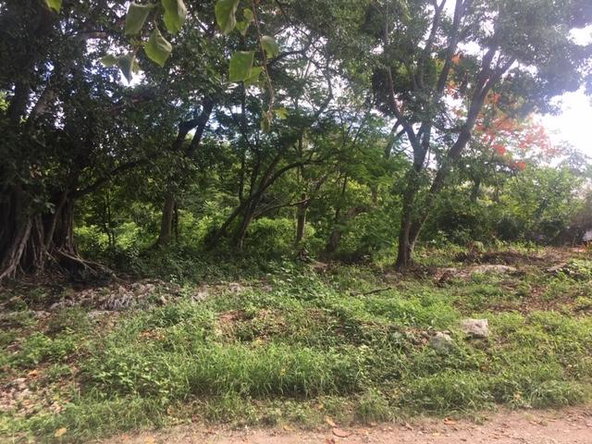 Seventh image of 8b- Hermosa Lane in Ocho Rios, St. Ann, Jamaica - property is For Sale