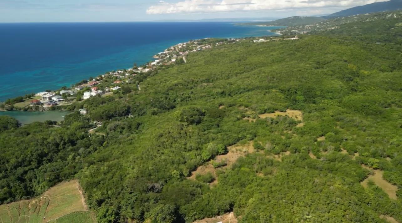 Fifth image of Section 4 b in Bluefields, Westmoreland, Jamaica - property is For Sale