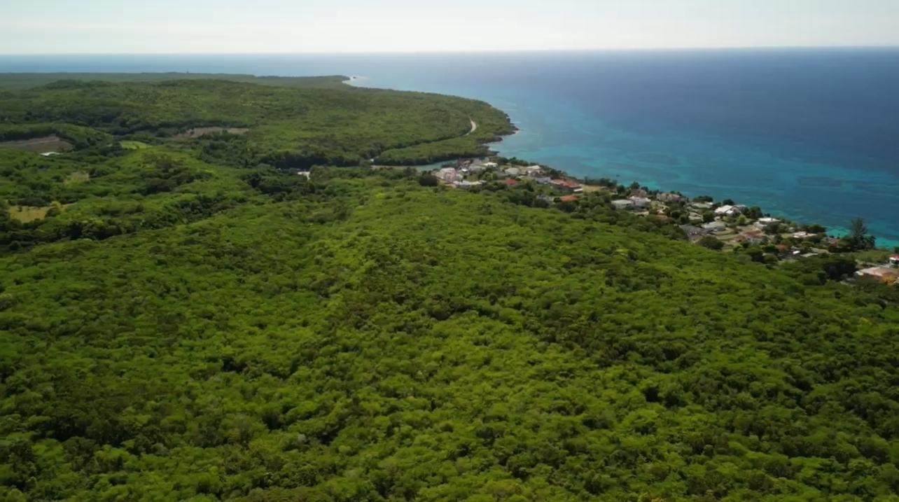 Sixth image of Section 4 b in Bluefields, Westmoreland, Jamaica - property is For Sale