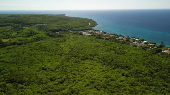 Sixth image of Section 4 b in Bluefields, Westmoreland, Jamaica - property is For Sale