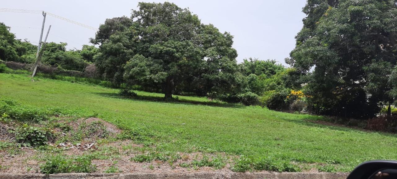 Second image of Lot 314 South Sea Park in White House WD, Westmoreland, Jamaica - property is For Sale