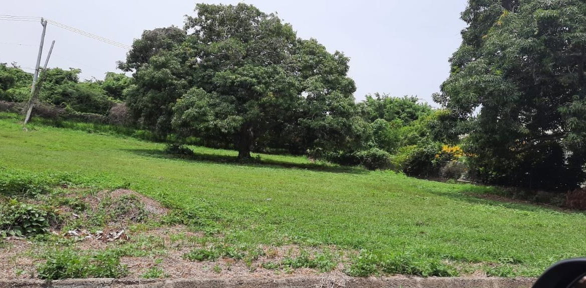 First image of Lot 314 South Sea Park in White House WD, Westmoreland, Jamaica - property is For Sale