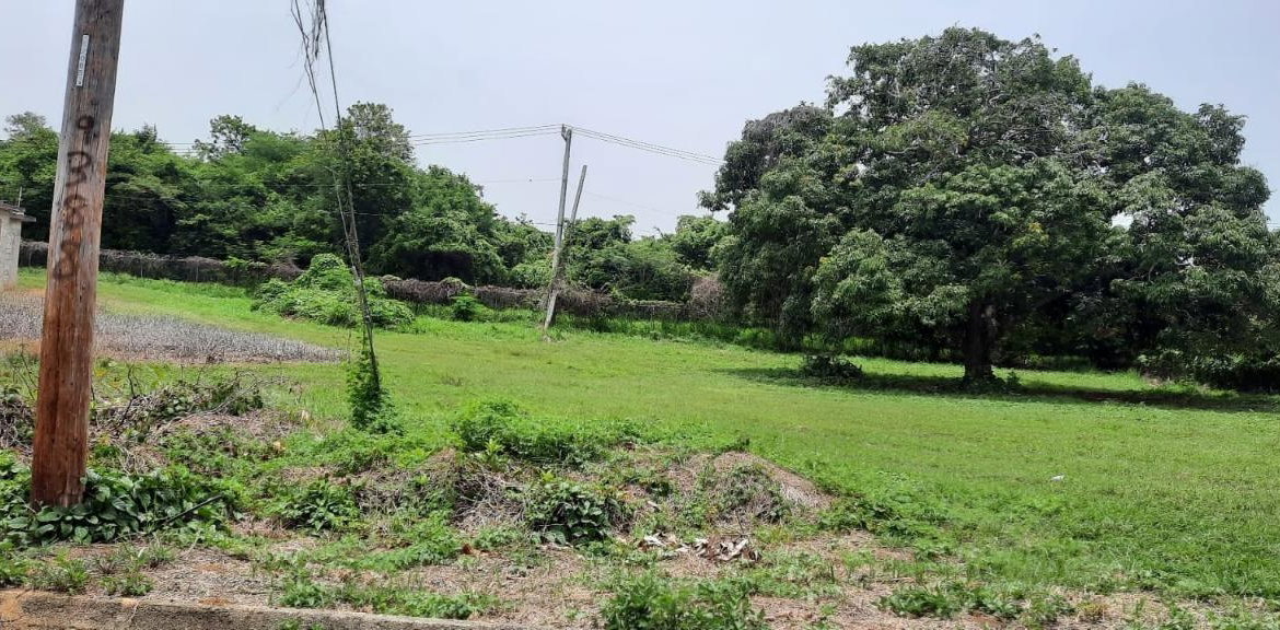 Third image of Lot 314 South Sea Park in White House WD, Westmoreland, Jamaica - property is For Sale