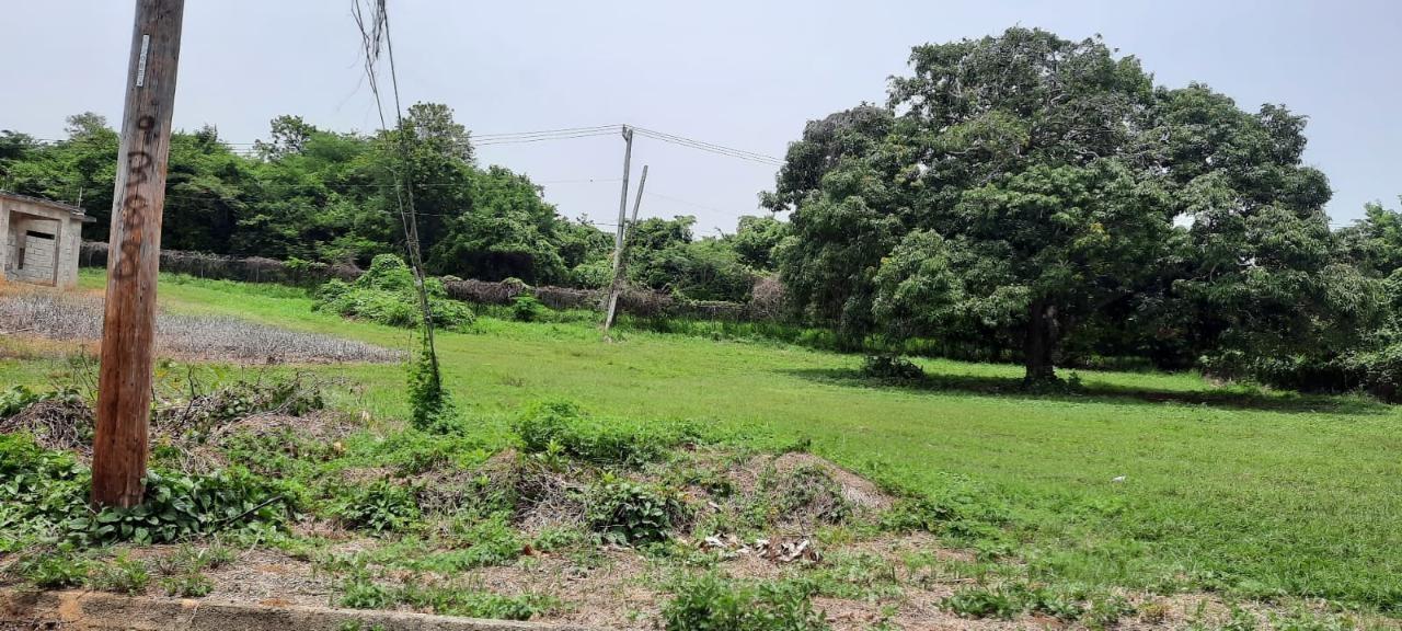 Third image of Lot 314 South Sea Park in White House WD, Westmoreland, Jamaica - property is For Sale
