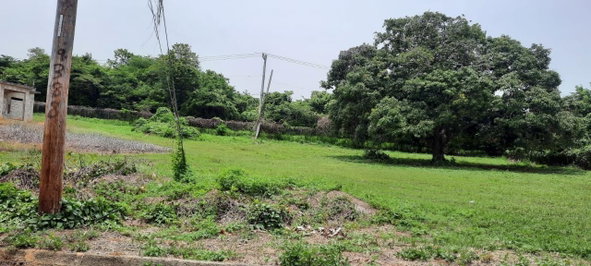 Third image of Lot 314 South Sea Park in White House WD, Westmoreland, Jamaica - property is For Sale