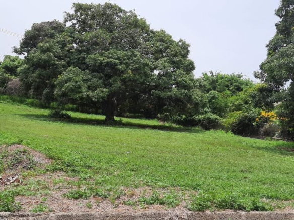 First image of Lot 314 South Sea Park in White House WD, Westmoreland, Jamaica - property is For Sale